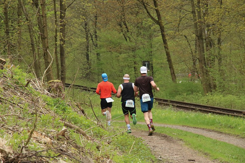 Impressionen vom 9. Harztorlauf