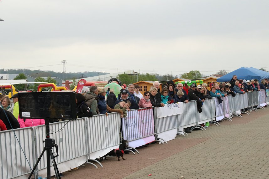 Impressionen vom 9. Harztorlauf