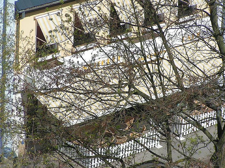 Der besondere (&Uuml;ber)Blick