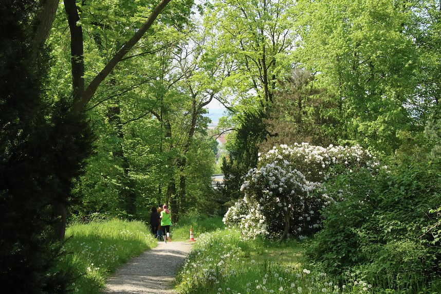 6. Heinrich-Siesmayer Ged&auml;chtnislauf im Park Hohenrode