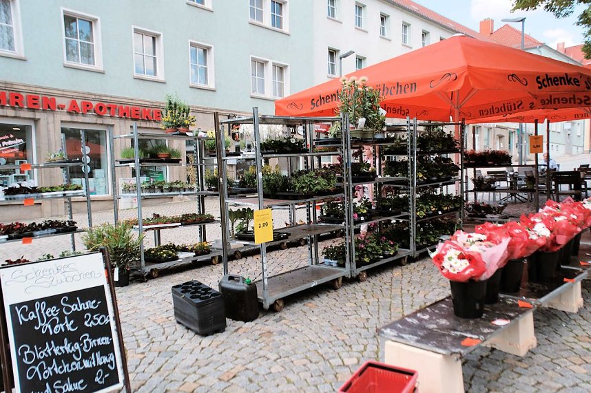 Geranienmarkt am Rathaus