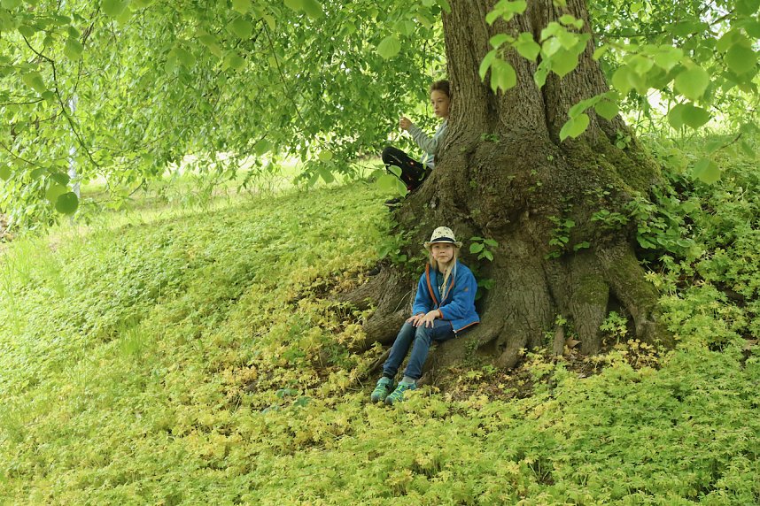 Parkfest im Park Hohenrode