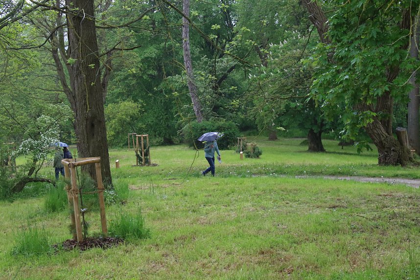 Parkfest im Park Hohenrode