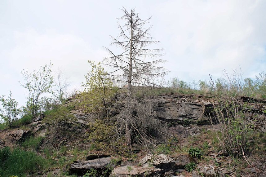 Peter Blei unterwegs in Susenburg