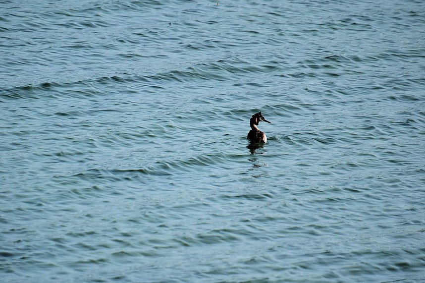 Am Stausee in Kelbra
