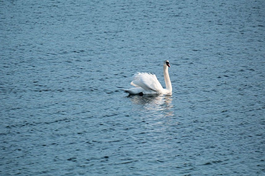 Am Stausee in Kelbra