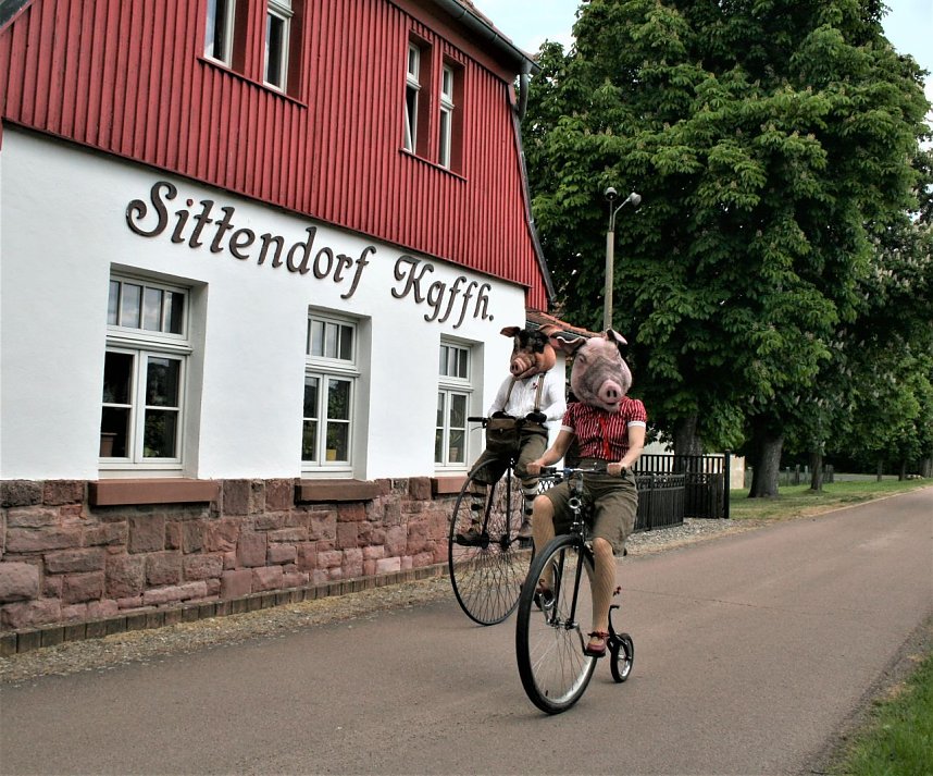 Herr Eber und Frau Sau sind unterwegs