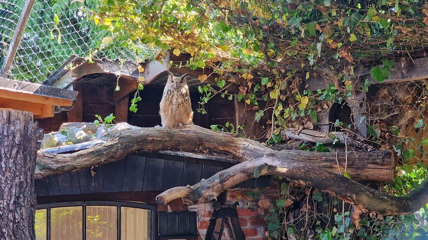Offener Garten in Uthleben