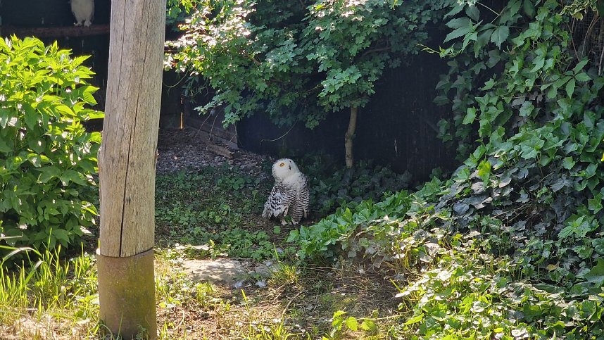 Offener Garten in Uthleben
