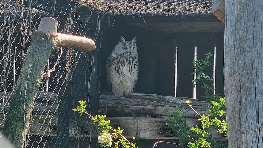 Offener Garten in Uthleben