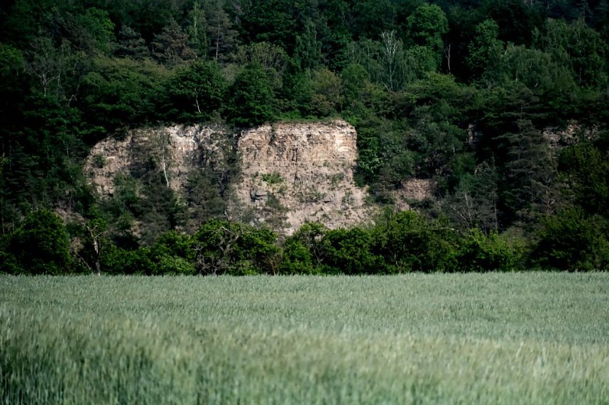 Peter Blei auf Schmetterlingssuche
