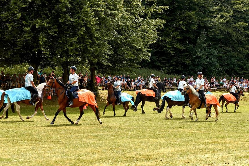 Ponyshow in W&uuml;lfingerode