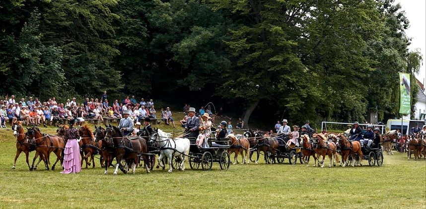 Ponyshow in W&uuml;lfingerode