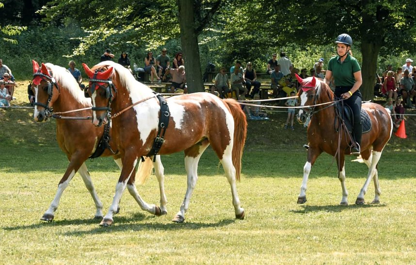 Ponyshow in W&uuml;lfingerode