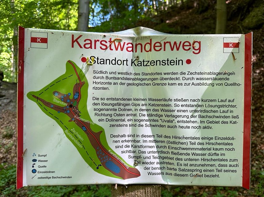 Der 400 Jahre alte "Gro&szlig;mutter"-Baum am Kohnstein gefallen