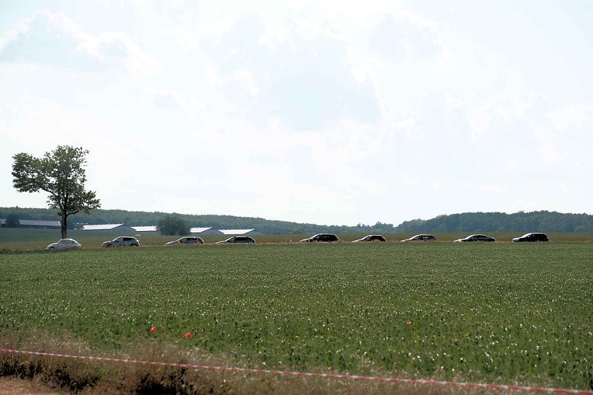 Peter Blei auf dem 31. Kunstmarkt in Friedrichsrode