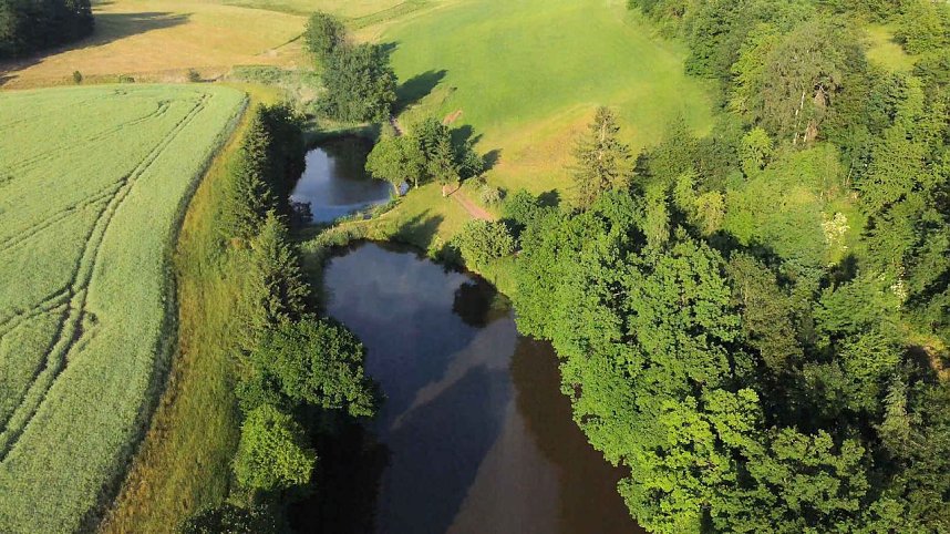 Die Wunder der Natur eingefangen von der Kamera