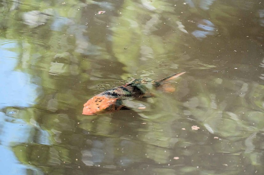 Die Wunder der Natur eingefangen von der Kamera