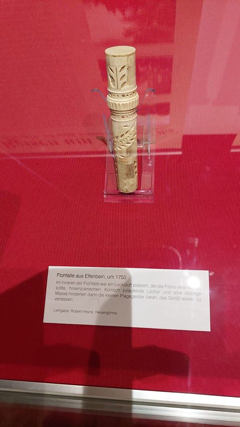 Reisen um 1800: Flohfalle aus Elfenbein