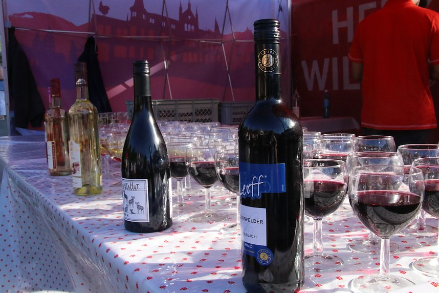 Sommerfest des Landratsamtes