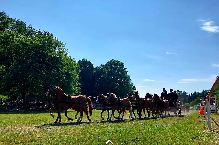 Ponyschau in W&uuml;lfingerode