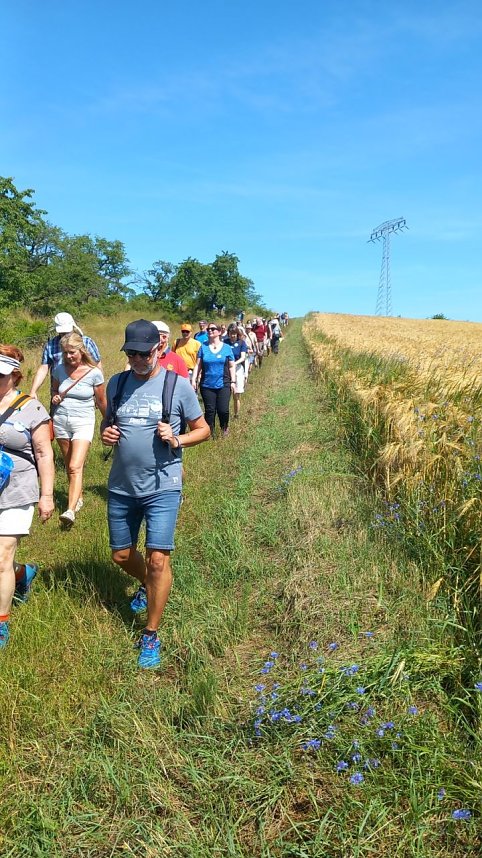 Daltus � Reisen war am H&uuml;nstein