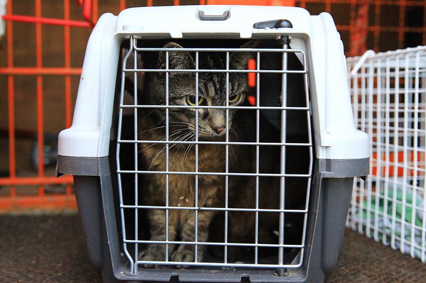 Fotos vom Feuer in Salza