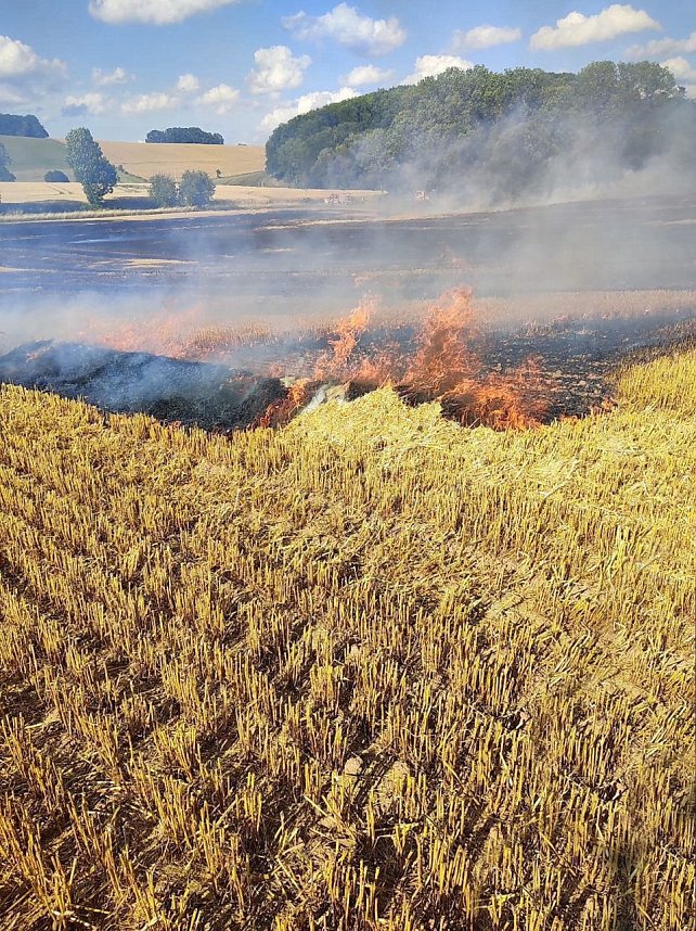 Feldbrand bei Klettenberg