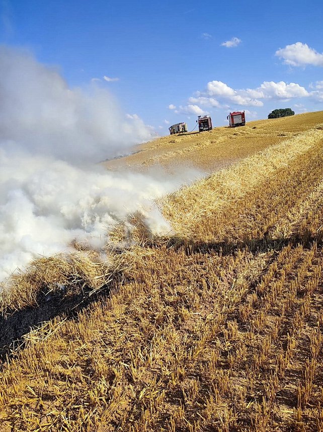 Feldbrand bei Klettenberg