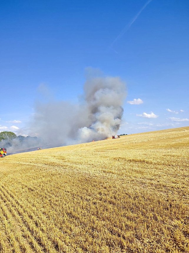 Feldbrand bei Klettenberg