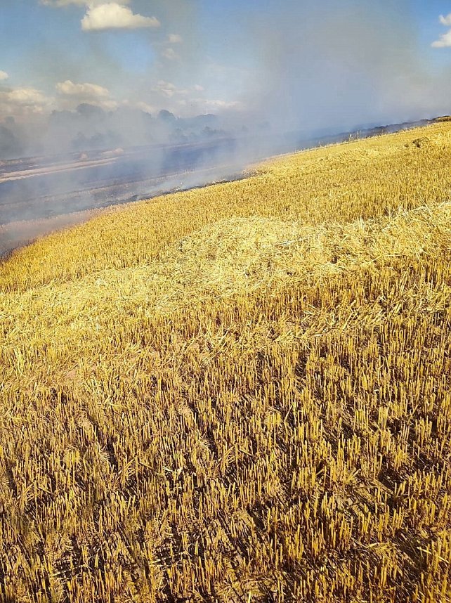Feldbrand bei Klettenberg