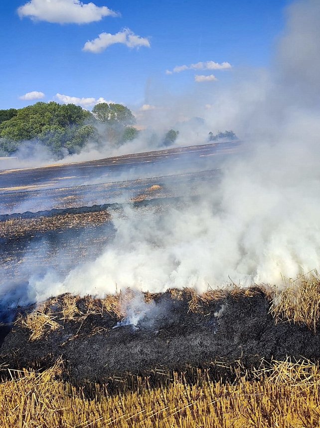 Feldbrand bei Klettenberg