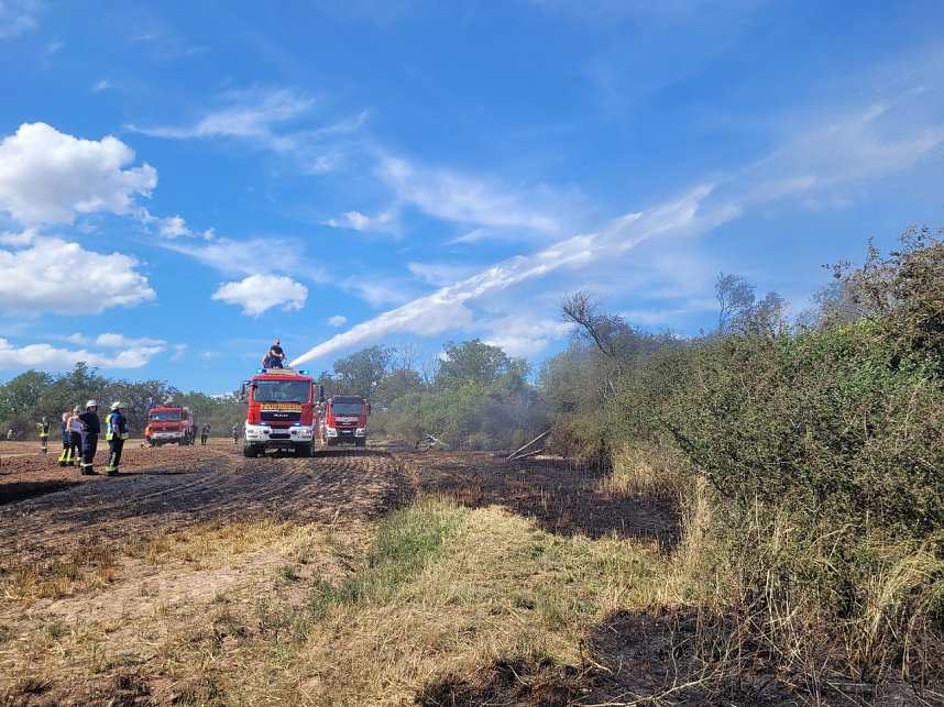 Feuer in der Goldenen Aue