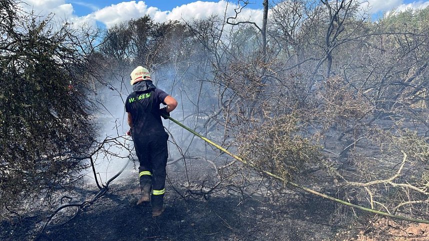 Feuer in der Goldenen Aue