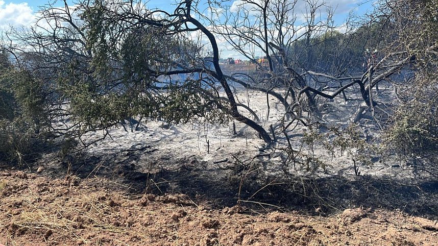 Feuer in der Goldenen Aue