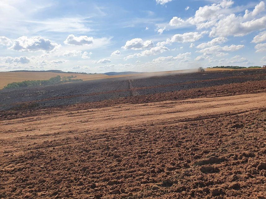 Feuer in der Goldenen Aue