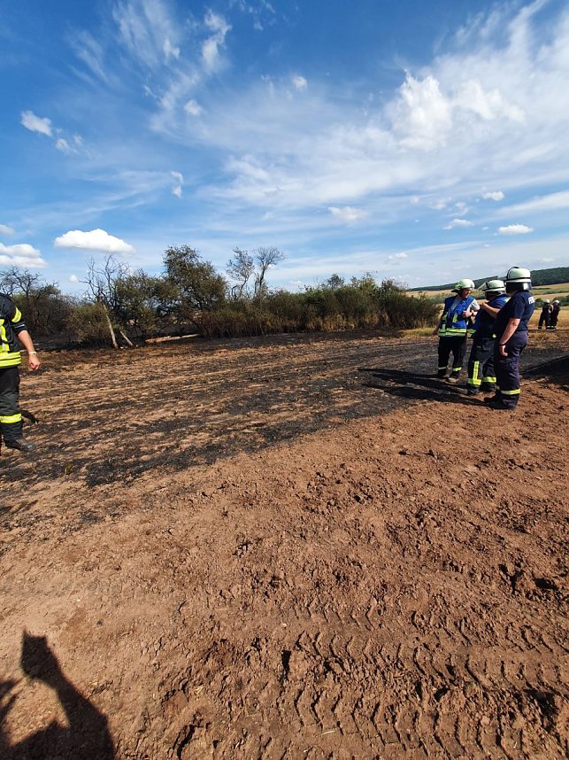 Feuer in der Goldenen Aue