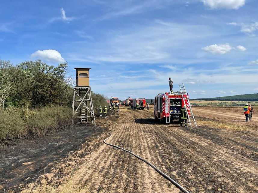 Feuer in der Goldenen Aue