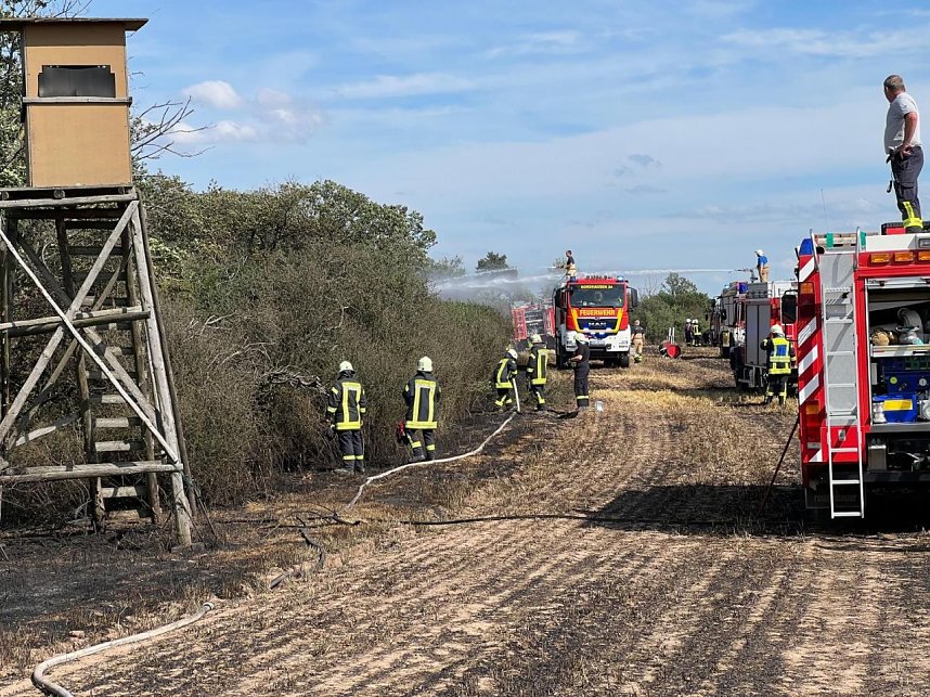 Feuer in der Goldenen Aue