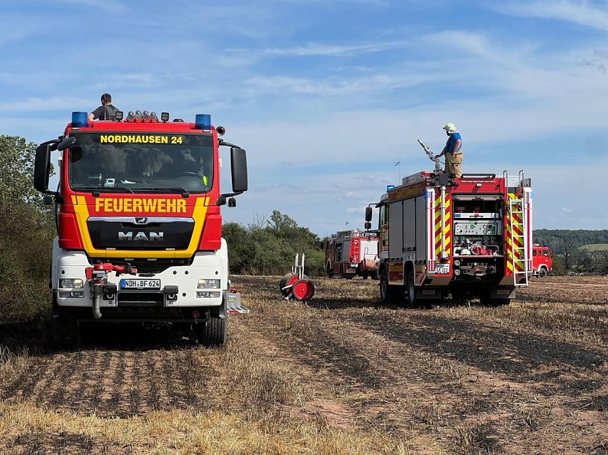 Feuer in der Goldenen Aue