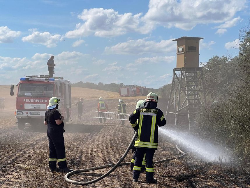 Feuer in der Goldenen Aue