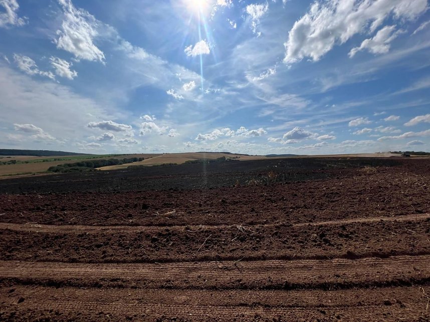 Feuer in der Goldenen Aue