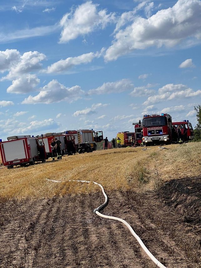 Feuer in der Goldenen Aue