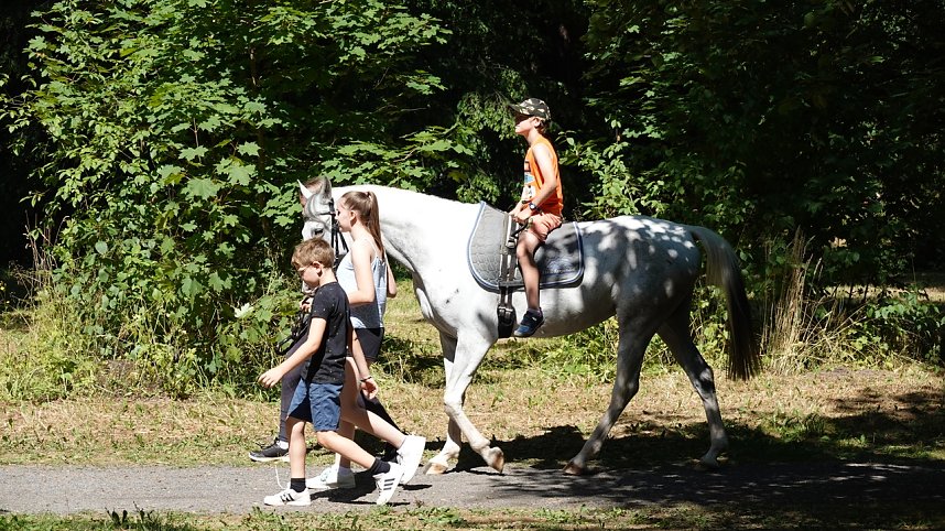 Der Vormittag des Parknicks geh&ouml;rte bereits den Familien