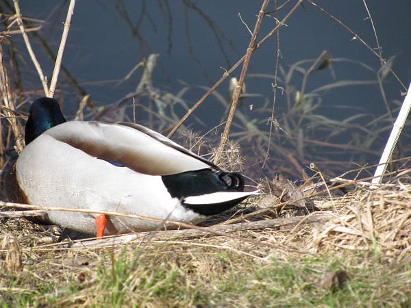 Spaziergang am Karfreitag