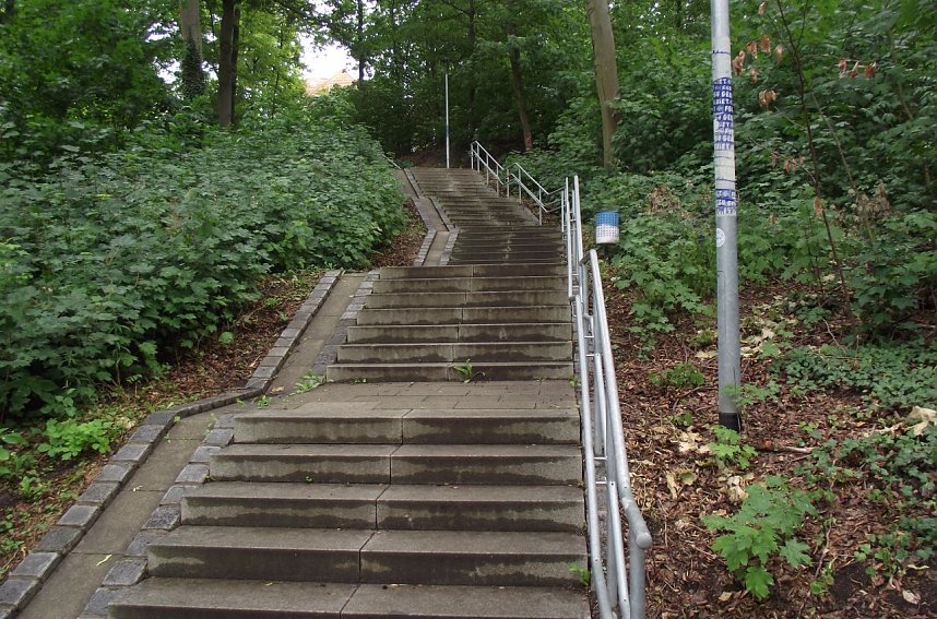 Gut gepflegte Gehegetreppe
