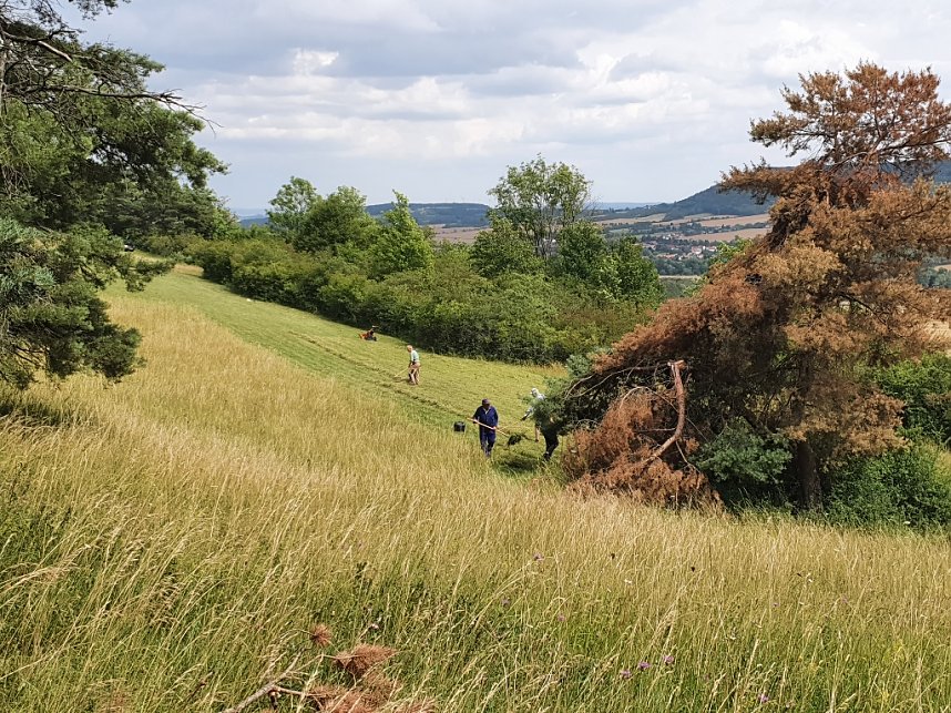 Arbeitseinsatz des BUND