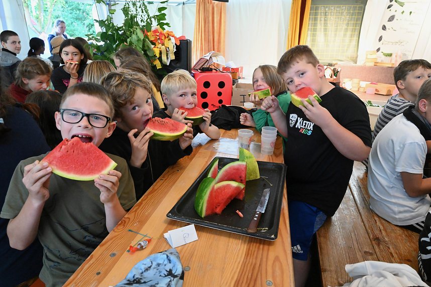 Tag 4 im Handwerkercamp