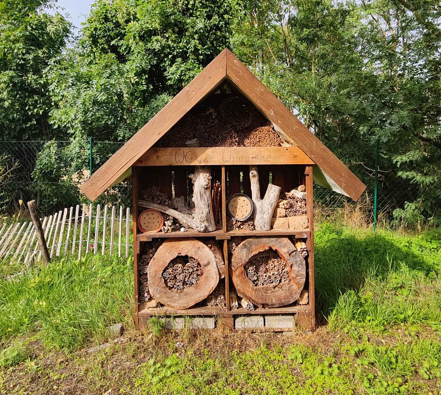 Peter Blei unterwegs im Kloster G&ouml;llingen