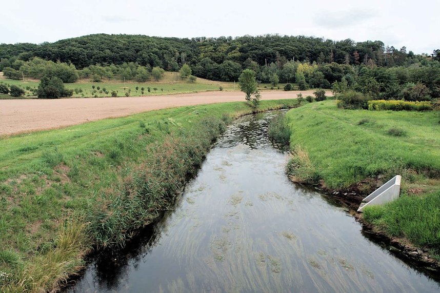 Peter Blei unterwegs im Kloster G&ouml;llingen